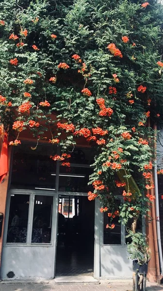 Vertical shot of a building with gray doors covered with green and orange living plants