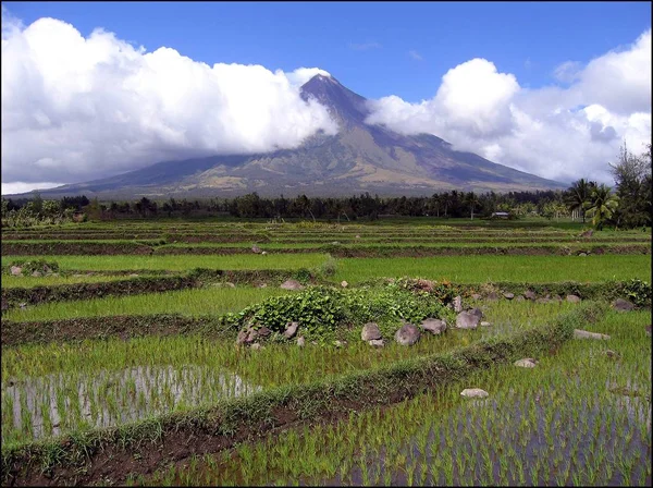 Campo de hierba rodeado de árboles en el fondo de una montaña volcánica cubierta de nubes —  Fotos de Stock
