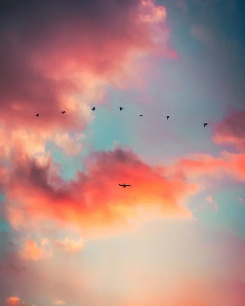 Όμορφη κάθετη σιλουέτα φωτογραφία πουλιών που πετούν σε ένα γαλάζιο ουρανό με ροζ σύννεφα — Φωτογραφία Αρχείου