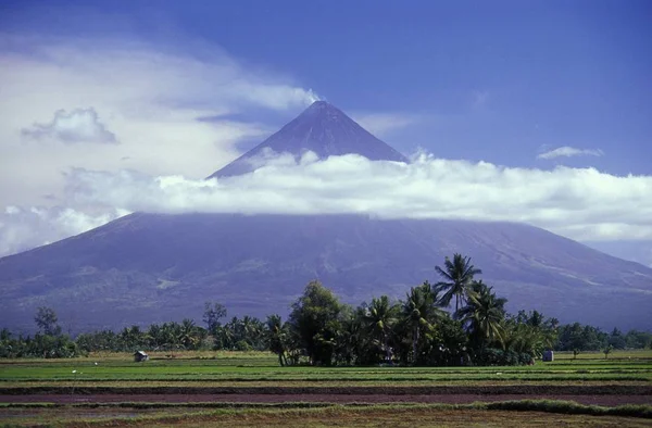 Arbres tropicaux dans un champ d'herbe près d'une montagne volcanique couverte de nuages dans un ciel bleu — Photo