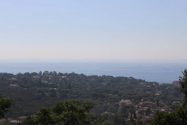 Plan Aérien Arbres Bâtiments Près Mer Avec Ciel Clair Arrière — Photo