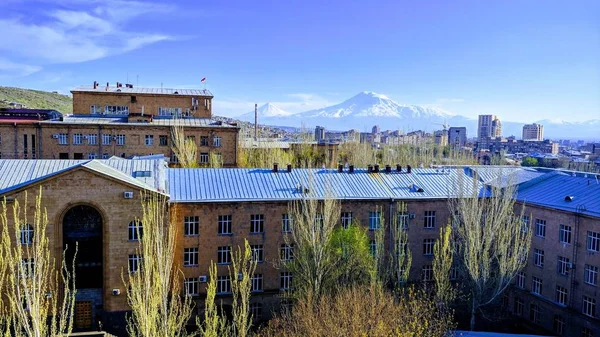 Широкий снимок Ереванского государственного университета в Армении с прекрасным видом на гору. Арарат — стоковое фото