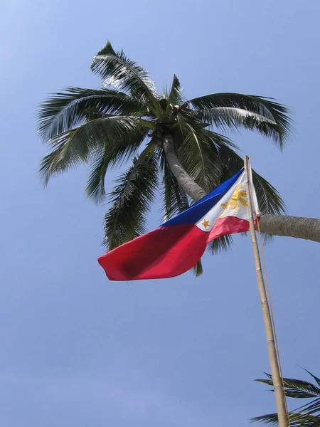 Tiro vertical en ángulo bajo de una palmera cerca de un asta de la bandera con la bandera de Filipinas —  Fotos de Stock