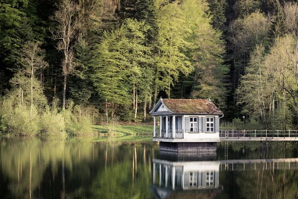 Σπίτι πάνω από το νερό με μια καταπράσινη ακτή και δέντρα στο βάθος — Φωτογραφία Αρχείου