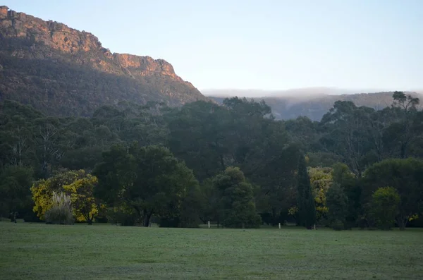 Мбаппе сфотографировал поле с деревьями и заброшенной горой вдалеке — стоковое фото