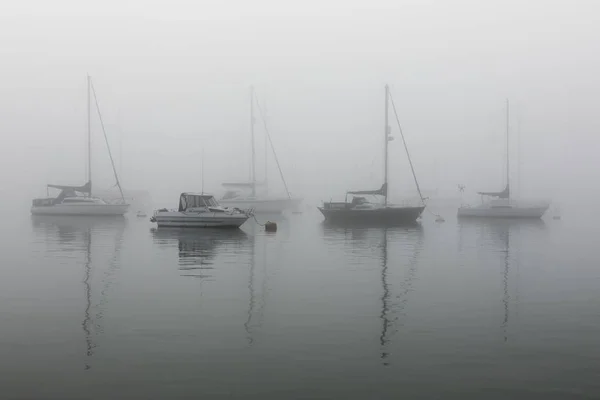 A beautiful wide shot of five sail ships in the sea on a foggy and moist weather