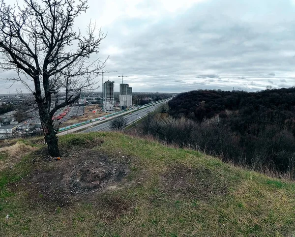 Záběr Dálnice Stojící Uprostřed Přírody Hustými Lesy Městem Budovami — Stock fotografie