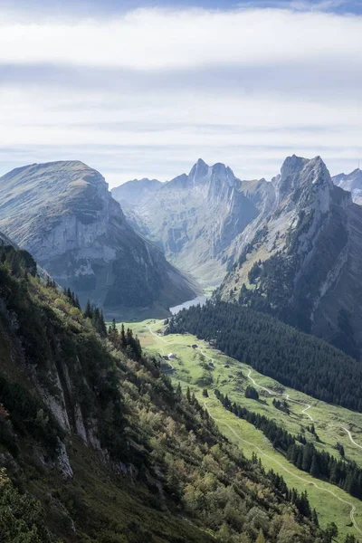 Μια Κάθετη Λήψη Των Δασών Βουνά Κάτω Από Ένα Συννεφιασμένο — Φωτογραφία Αρχείου