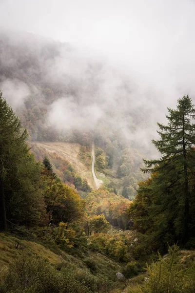 Vertikale Aufnahme eines grasbewachsenen Hügels mit Bäumen und einem Berg in Wolken im Hintergrund — Stockfoto