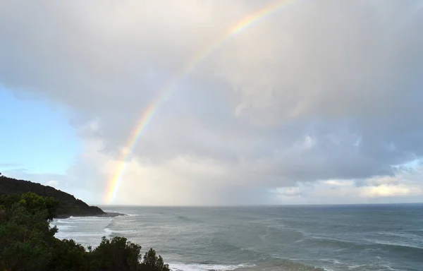 Beautiful Shot Sea Shore Covered Trees Rainbow Cloudy Sky — Stock Photo, Image