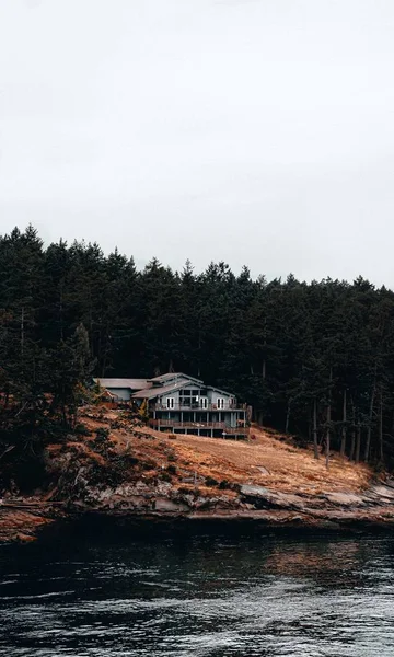 Вертикальный снимок старого дома, изолированного на холме в лесу, полном деревьев у прекрасного моря — стоковое фото