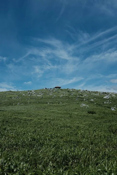 Вертикальный снимок холма, покрытого травой под голубым небом — стоковое фото