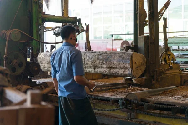 Varón cortando madera en la máquina disparada por detrás — Foto de Stock