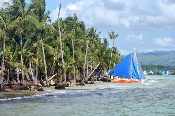 Een Mooi Shot Van Boten Buurt Van Kust Met Palmbomen — Stockfoto