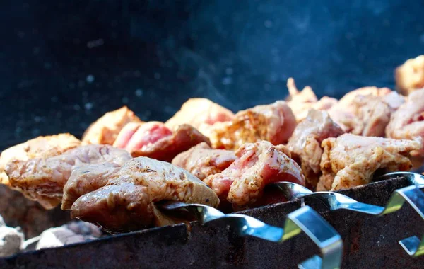 Shot of skewers with meat on a barbecue grill with a blurred background — Stock Photo, Image