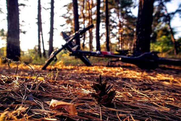 Selective shot of a pine cone on dry grass with a blurry background of a bicycle and trees — Stock Photo, Image