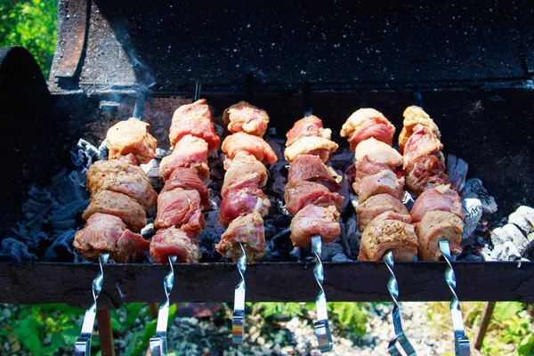 Closeup tiro de churrasco em um dia ensolarado em um piquenique — Fotografia de Stock