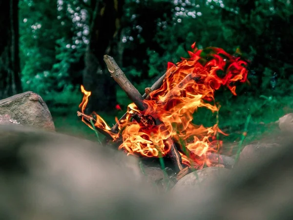 Tiro de close-up seletivo de uma fogueira em chamas no fundo de árvores em uma floresta — Fotografia de Stock