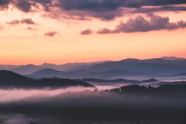 Beau Plan Collines Brumeuses Forêts Sous Ciel Rose Nuageux Coucher — Photo