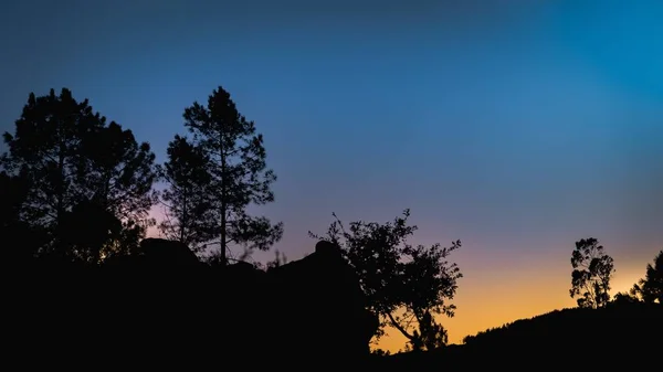 Eine Schöne Horizontale Aufnahme Von Bäumen Auf Dem Hügel Vor — Stockfoto