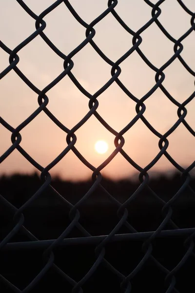 Μια Κάθετη Βολή Του Ήλιου Μέσα Από Δίχτυ Βράδυ — Φωτογραφία Αρχείου