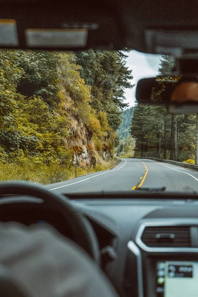 車両から見た美しい田舎道の緑と森の垂直ショット — ストック写真