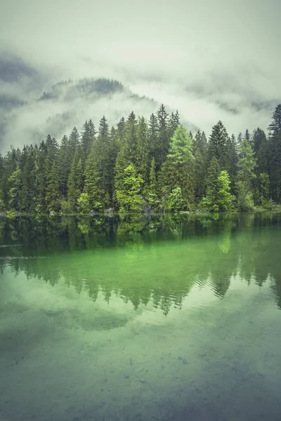 Vertical Shot Water Shore Covered Trees Cloudy Sky — Stock Photo, Image