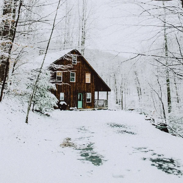 Szeroki Strzał Drewniany Dom Otoczony Drzewami Lesie Pokryte Śniegiem Zimą — Zdjęcie stockowe