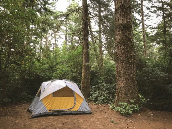 Une Tente Grise Jaune Installée Dans Une Forêt — Photo