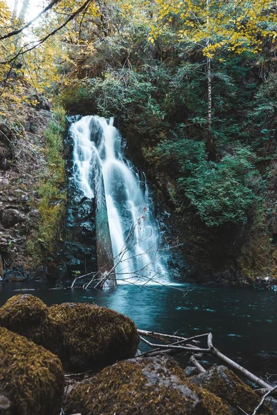 Belo Tiro Uma Cachoeira Uma Das Florestas Estado Oregon — Fotografia de Stock