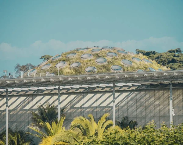 Amplia foto de un invernadero rodeado de plantas bajo un cielo azul — Foto de Stock