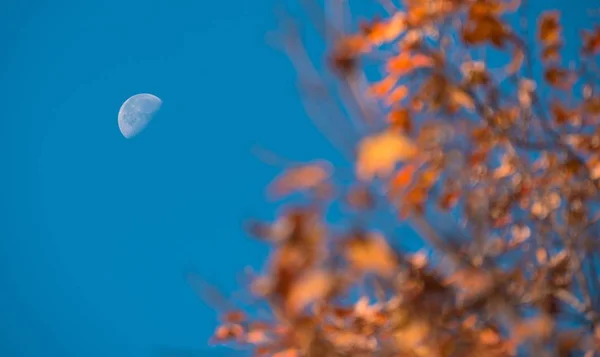 Tiro de foco seletivo de meia lua em um céu azul claro no fundo embaçado de uma fábrica cor-de-laranja — Fotografia de Stock