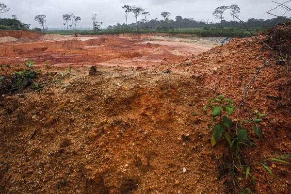 採石のための熱帯雨林 フランス領ギアナ フランス — ストック写真