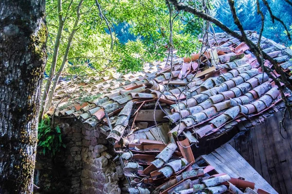 Tuiles Détruites Sur Toit Une Maison Abandonnée Dans Une Forêt — Photo