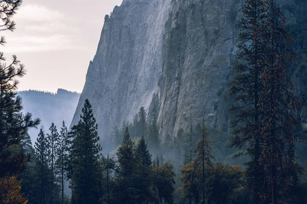 Paysage Étonnant Couper Souffle Une Belle Forêt Campagne — Photo