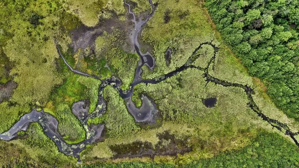 Een Luchtfoto Van Het Landschap Van Het Prachtige Groen Van — Stockfoto