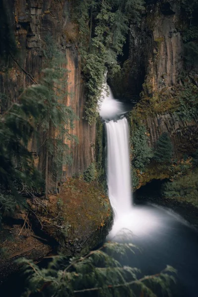 Nádherný Záběr Vodopádu Jednom Pralesů Oregonu — Stock fotografie