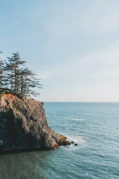 Plano Vertical Del Hermoso Mar Con Acantilados Rocosos Árboles Lado —  Fotos de Stock