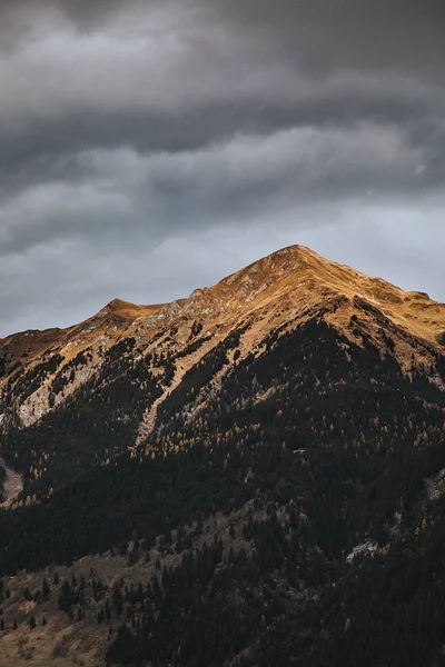 Plan Vertical Une Montagne Entourée Arbres Sous Ciel Nuageux — Photo