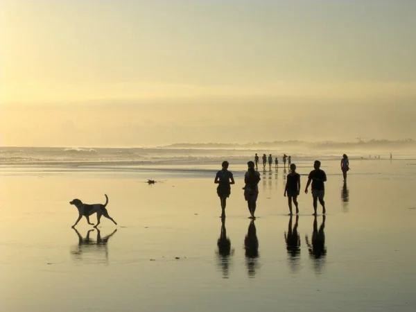 Wide Shot People Dog Sandy Shore Sea — Stock Photo, Image