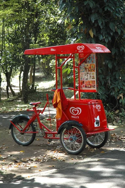 Μπαλί Ινδονησία Ιουν 2005 Παλιό Ποδήλατο Παγωτού Πώλησης Τζακάρτα Ινδονησία — Φωτογραφία Αρχείου