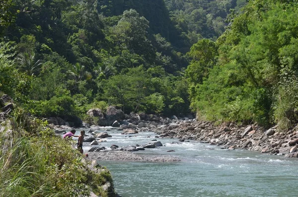 Large Plan Rochers Sur Corps Une Rivière Entourée Arbres Plantes — Photo