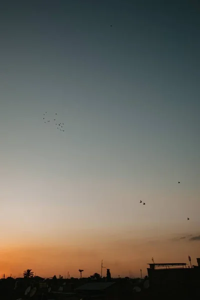 Tiro Vertical Pássaros Voando Céu Claro Acima Casas Árvores Durante — Fotografia de Stock