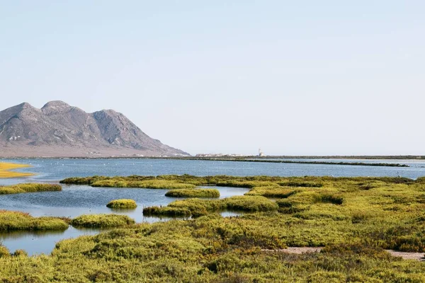 Eine Schöne Landschaftliche Aufnahme Eines Sees Umgeben Von Grünem Gras — Stockfoto
