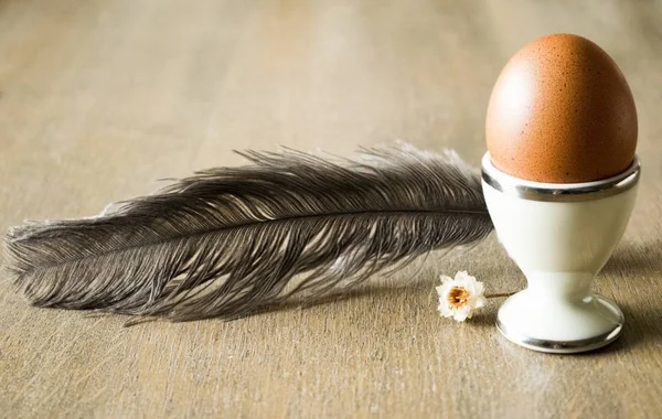 Ein Auf Einem Eierbecher Mit Einer Feder Und Einer Kleinen — Stockfoto