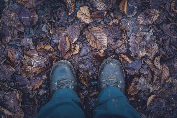 An overhead shot of a person\'s feet with boots standing in a muddy ground with wet leaves