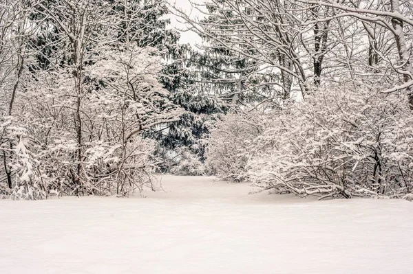 펜실베이니아 시골에 눈덮인 들판의 아름다운 — 스톡 사진