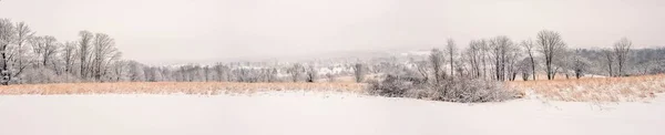 Panoramic shot of the beautiful countryside scenery during Winter in Pennsylvania — Stock Photo, Image