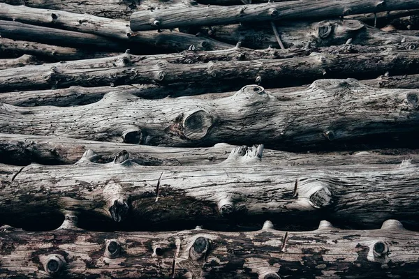 Närbild av trädstockar på varandra — Stockfoto