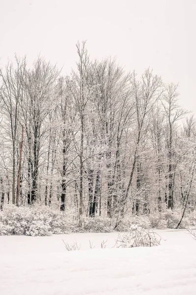 Pennsylvanian Maaseudun Lumisen Pellon Kauniit Maisemat — kuvapankkivalokuva